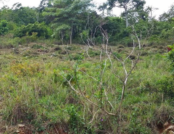 Fifth image of 13 Circinus Circle, Smokey v in Kingston 19, St. Andrew, Jamaica - property is For Sale