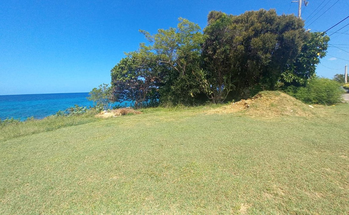 Third image of Lot 107- Whitehouse in White House WD, Westmoreland, Jamaica - property is For Sale
