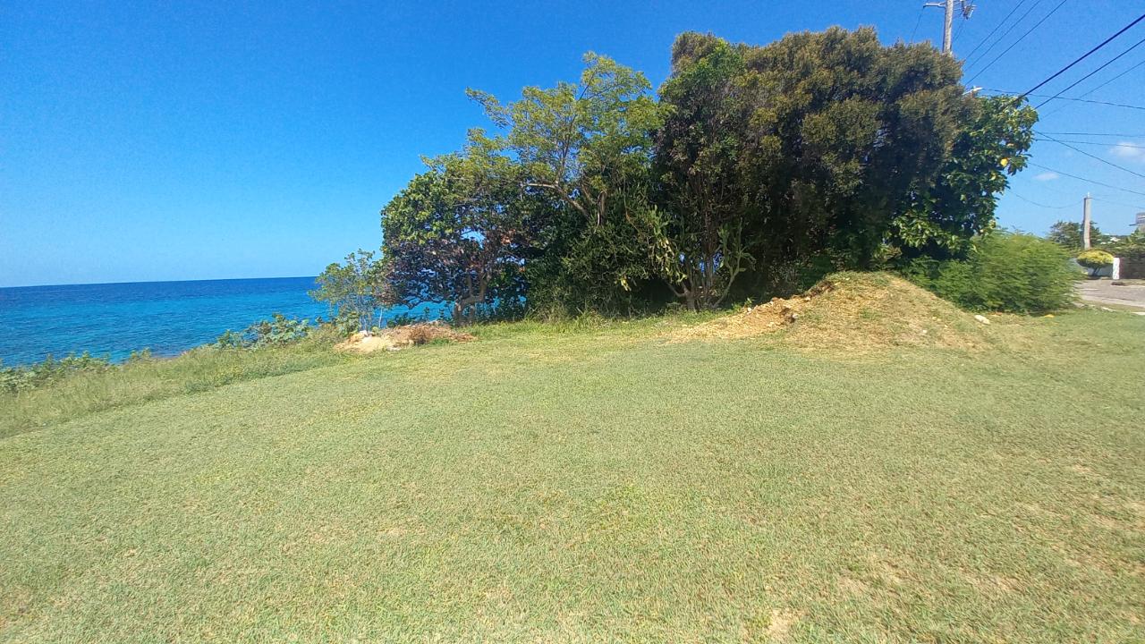 Third image of Lot 107- Whitehouse in White House WD, Westmoreland, Jamaica - property is For Sale