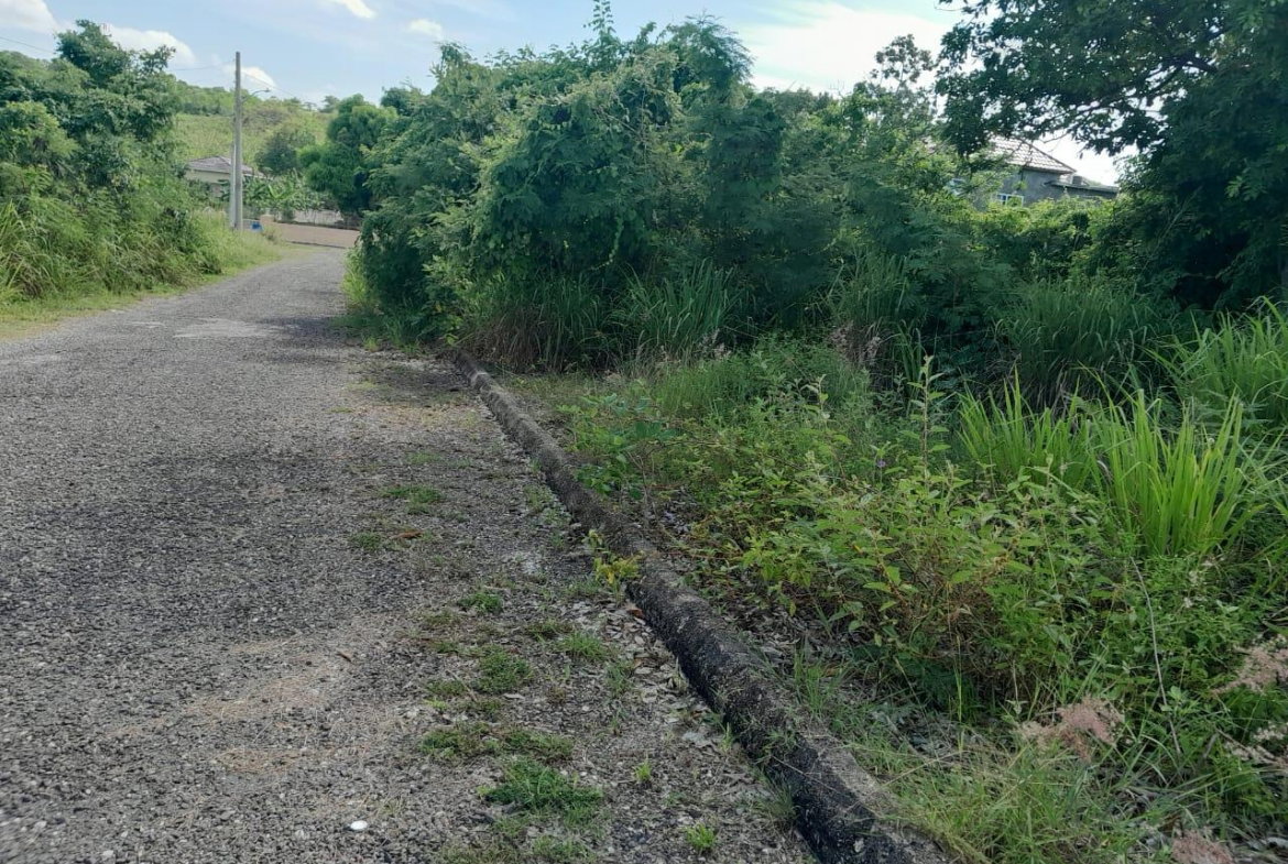 Fifth image of Lot 107- Whitehouse in White House WD, Westmoreland, Jamaica - property is For Sale