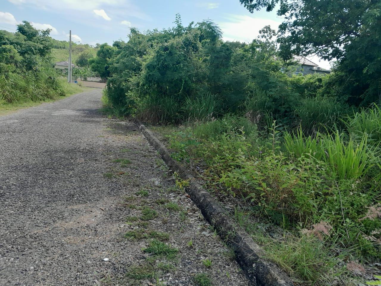 Fifth image of Lot 107- Whitehouse in White House WD, Westmoreland, Jamaica - property is For Sale