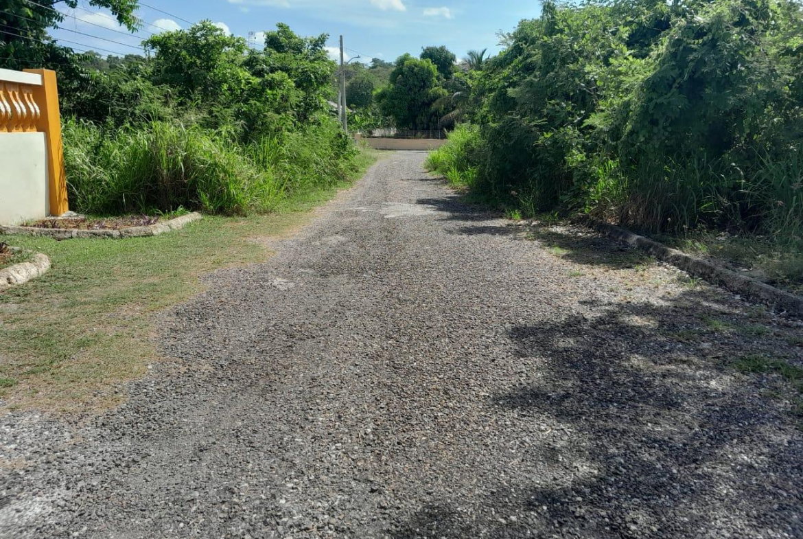 Sixth image of Lot 107- Whitehouse in White House WD, Westmoreland, Jamaica - property is For Sale