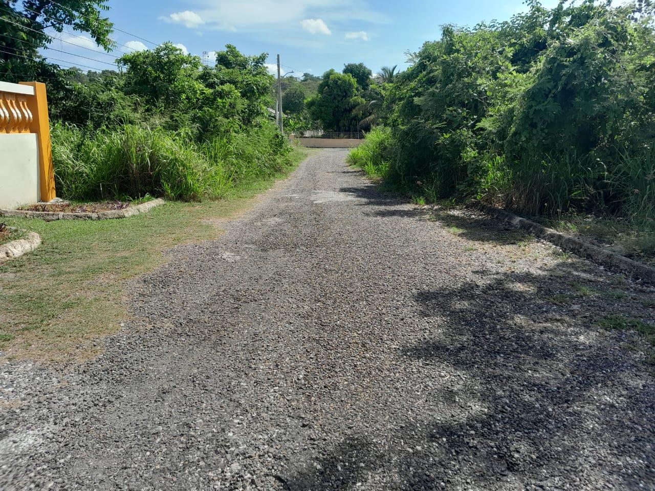 Sixth image of Lot 107- Whitehouse in White House WD, Westmoreland, Jamaica - property is For Sale