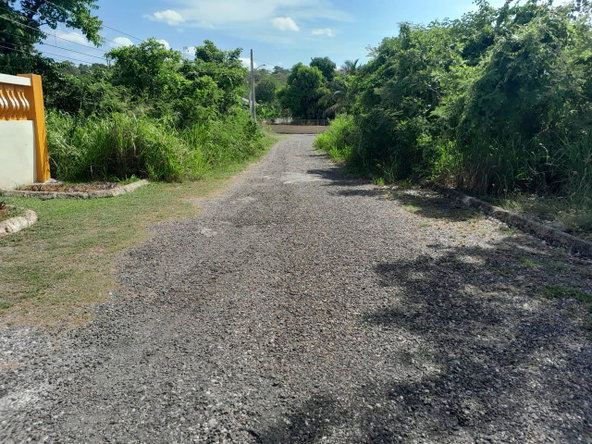 Sixth image of Lot 107- Whitehouse in White House WD, Westmoreland, Jamaica - property is For Sale