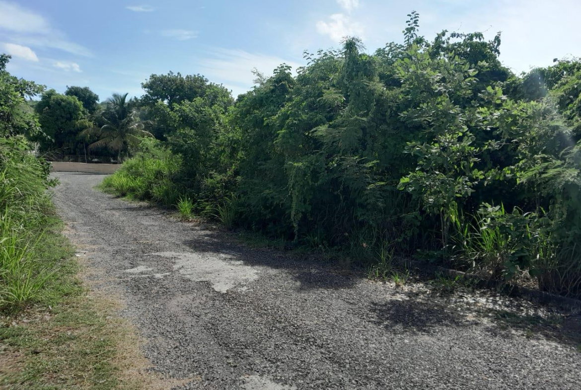 Seventh image of Lot 107- Whitehouse in White House WD, Westmoreland, Jamaica - property is For Sale