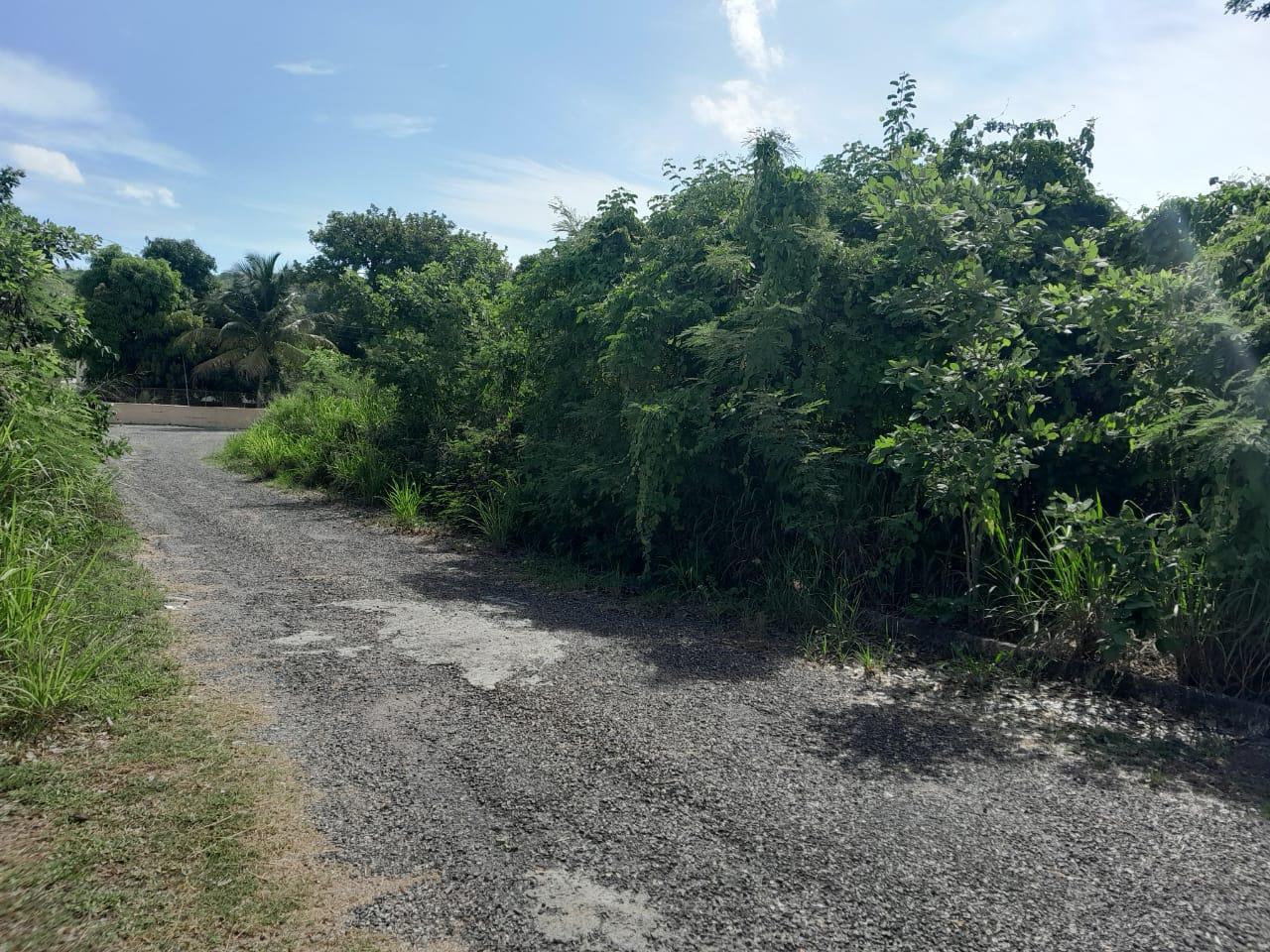 Seventh image of Lot 107- Whitehouse in White House WD, Westmoreland, Jamaica - property is For Sale