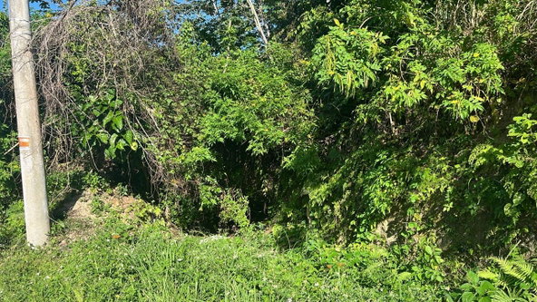 Fourth image of 424- Spring Valley Estate in Tower Isle, St. Mary, Jamaica - property is For Sale