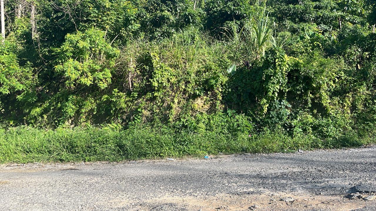 Prime-Residential-Lot-for-Sale-in-Spring-Valley-Tower-Isle-St.-Mary Fifth image of 424- Spring Valley Estate in Tower Isle, St. Mary, Jamaica - property is For Sale