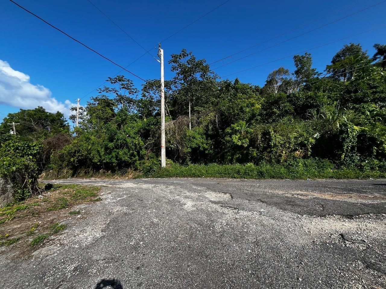 Prime-Residential-Lot-for-Sale-in-Spring-Valley-Tower-Isle-St.-Mary Sixth image of 424- Spring Valley Estate in Tower Isle, St. Mary, Jamaica - property is For Sale