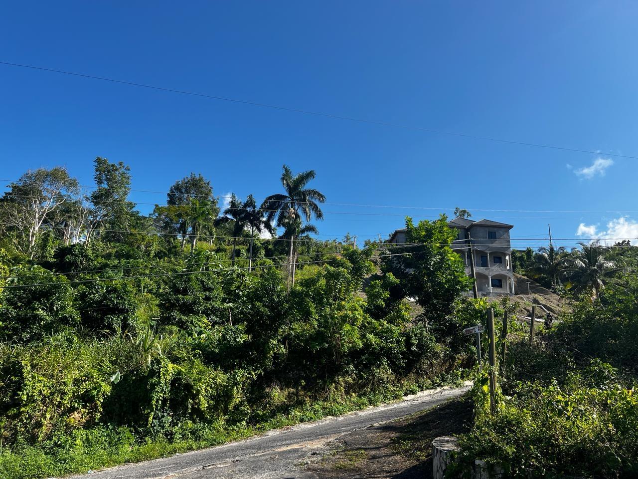 Prime-Residential-Lot-for-Sale-in-Spring-Valley-Tower-Isle-St.-Mary Seventh image of 424- Spring Valley Estate in Tower Isle, St. Mary, Jamaica - property is For Sale