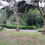 First image of Swain Spring rd in Swain Spring, St. Andrew, Jamaica - property is For Sale
