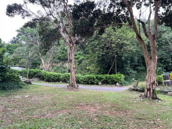 First image of Swain Spring rd in Swain Spring, St. Andrew, Jamaica - property is For Sale