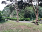 First image of Swain Spring rd in Swain Spring, St. Andrew, Jamaica - property is For Sale