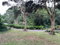 First image of Swain Spring rd in Swain Spring, St. Andrew, Jamaica - property is For Sale