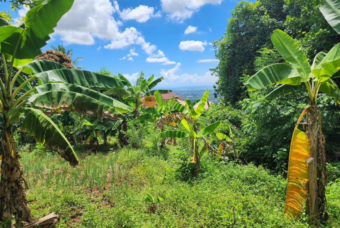 Second image of Leas Flat, St. Andrew in Kingston 19, St. Andrew, Jamaica - property is For Sale