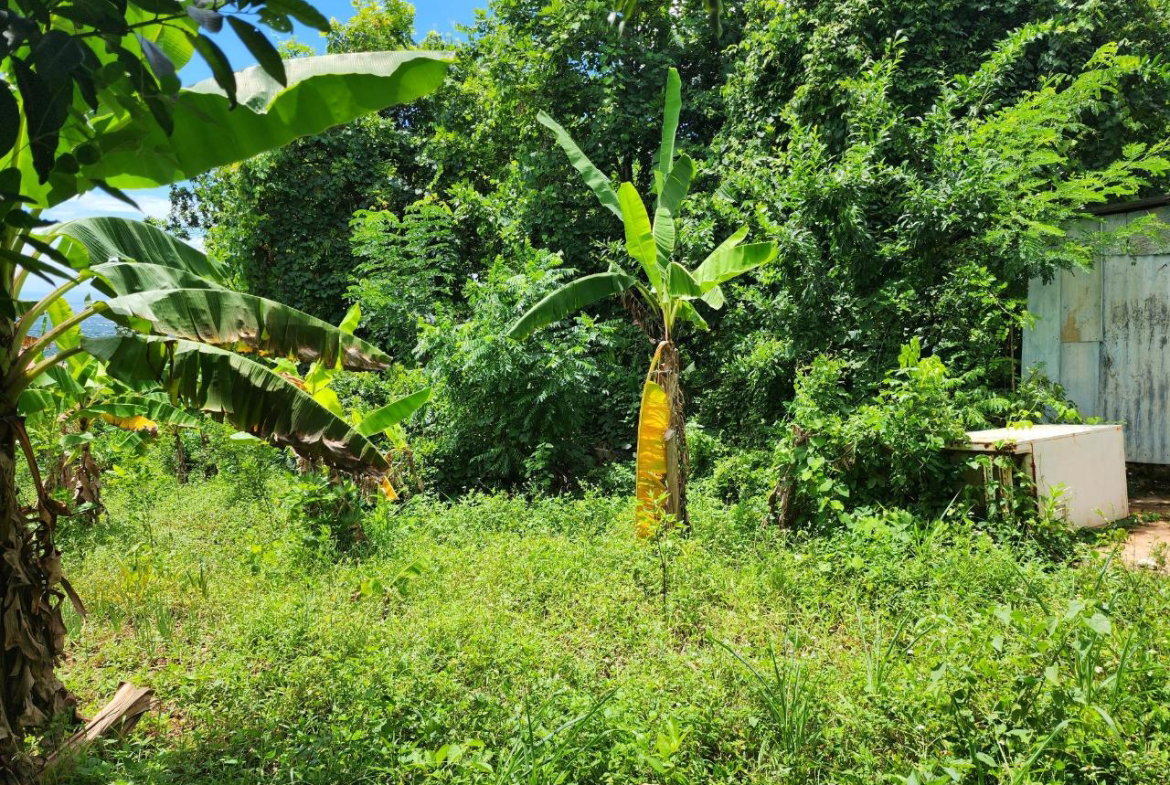 Third image of Leas Flat, St. Andrew in Kingston 19, St. Andrew, Jamaica - property is For Sale