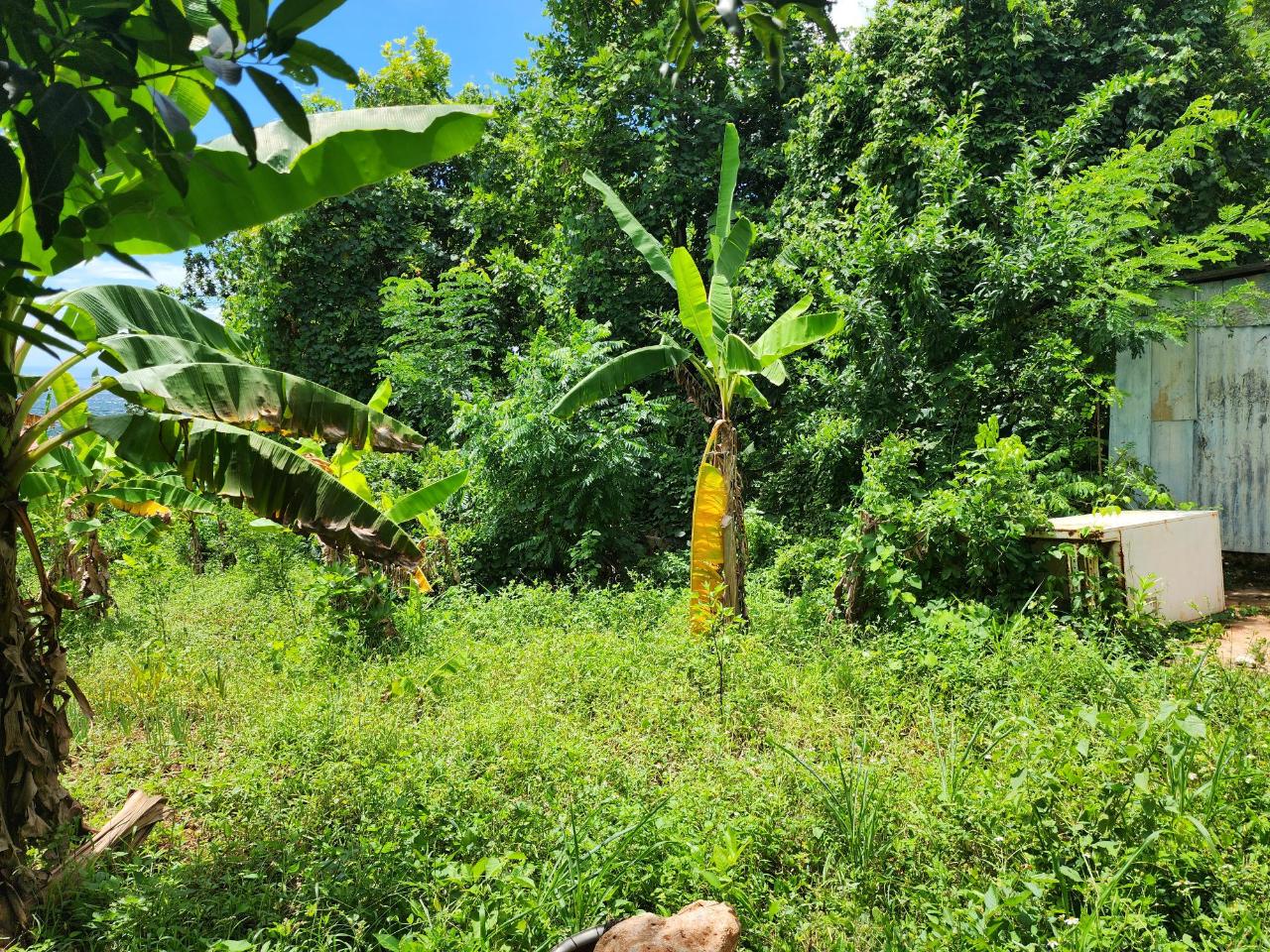 Prime-Residential-Lot-for-Sale-in-St.-Andrew-Jamaica-30000-sq-ft Third image of Leas Flat, St. Andrew in Kingston 19, St. Andrew, Jamaica - property is For Sale
