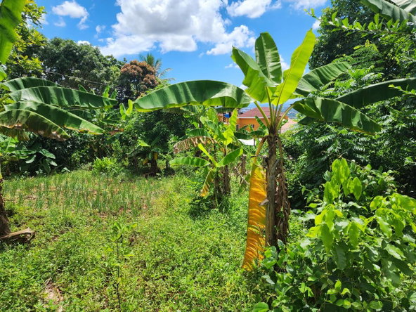 Fourth image of Leas Flat, St. Andrew in Kingston 19, St. Andrew, Jamaica - property is For Sale