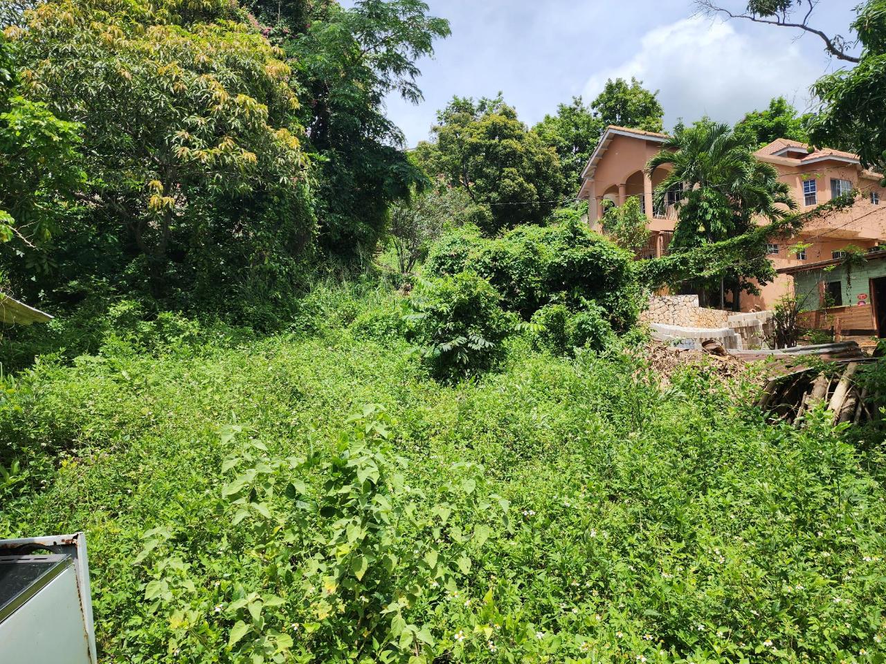 Prime-Residential-Lot-for-Sale-in-St.-Andrew-Jamaica-30000-sq-ft Fifth image of Leas Flat, St. Andrew in Kingston 19, St. Andrew, Jamaica - property is For Sale
