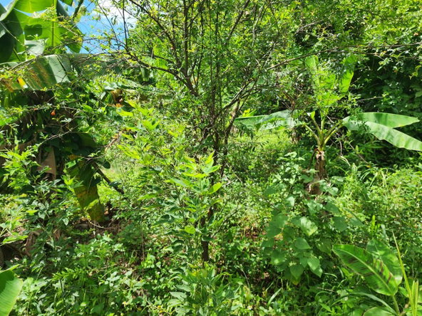 First image of Leas Flat, St. Andrew in Kingston 19, St. Andrew, Jamaica - property is For Sale