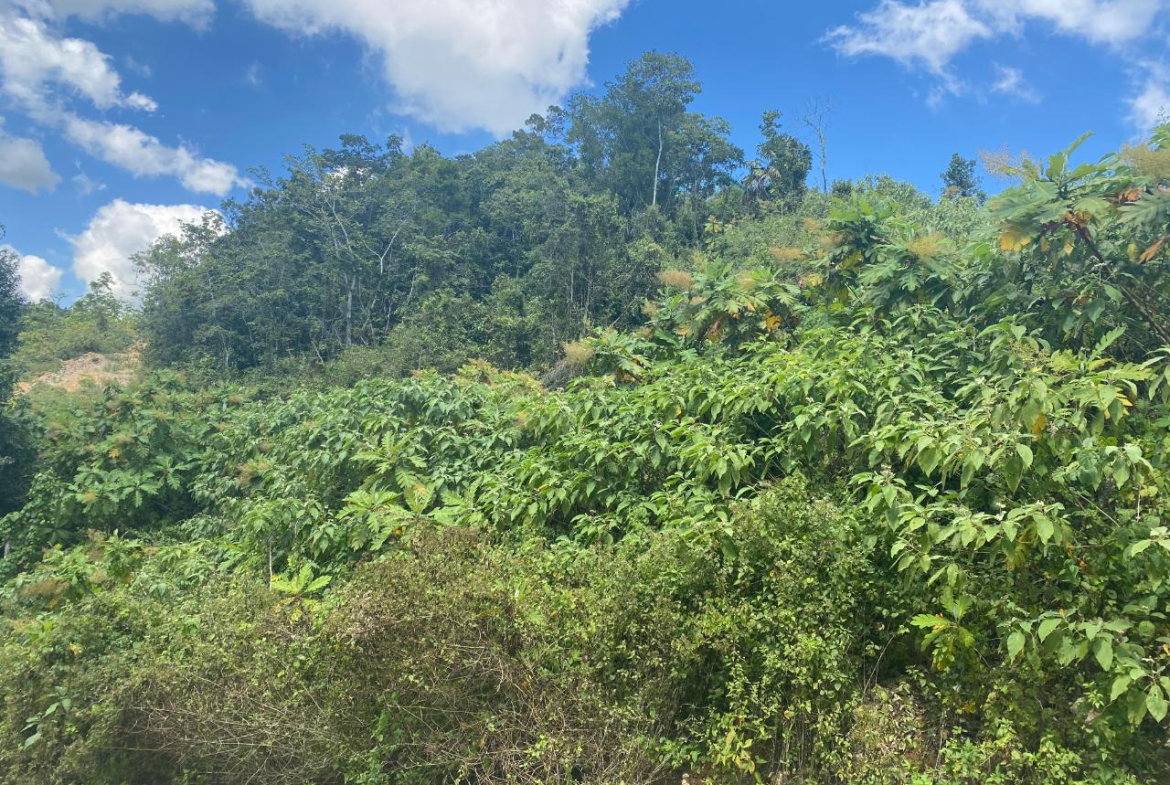 Fifth image of Lot 4 Part of Water House Wedge in RED HILLS SQUARE, St. Andrew, Jamaica - property is For Sale