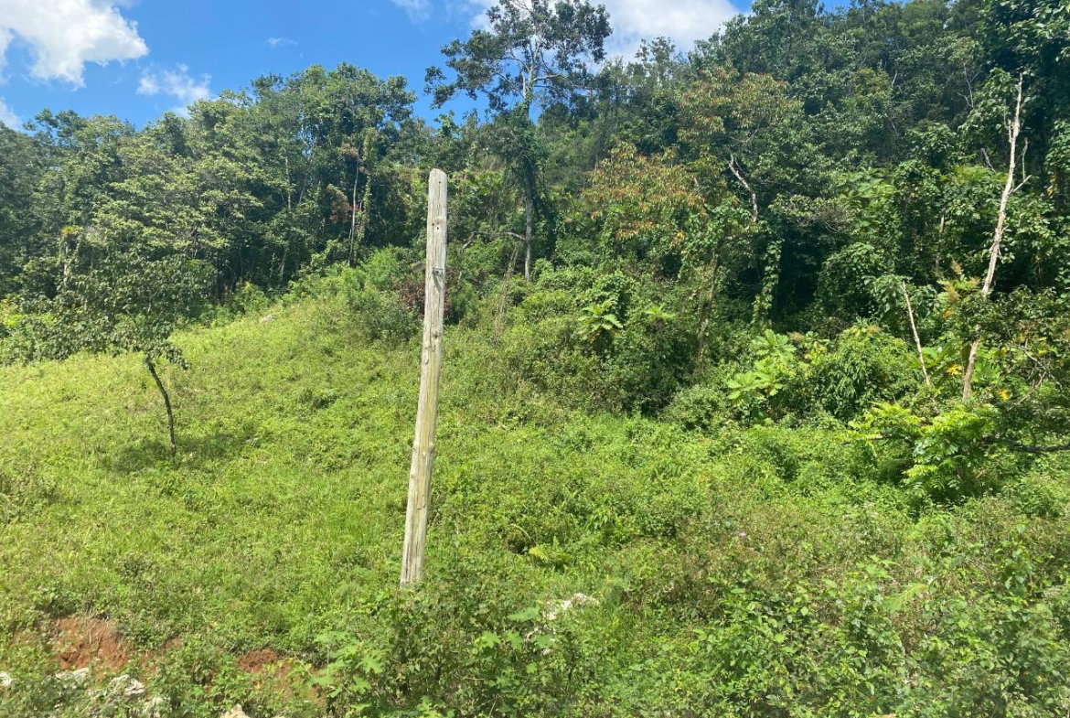 First image of Lot 7 Part of Water House Wedge in RED HILLS SQUARE, St. Andrew, Jamaica - property is For Sale