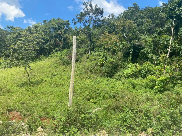First image of Lot 7 Part of Water House Wedge in RED HILLS SQUARE, St. Andrew, Jamaica - property is For Sale