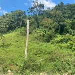 First image of Lot 1 Part of Water House Wedge in RED HILLS SQUARE, St. Andrew, Jamaica - property is For Sale
