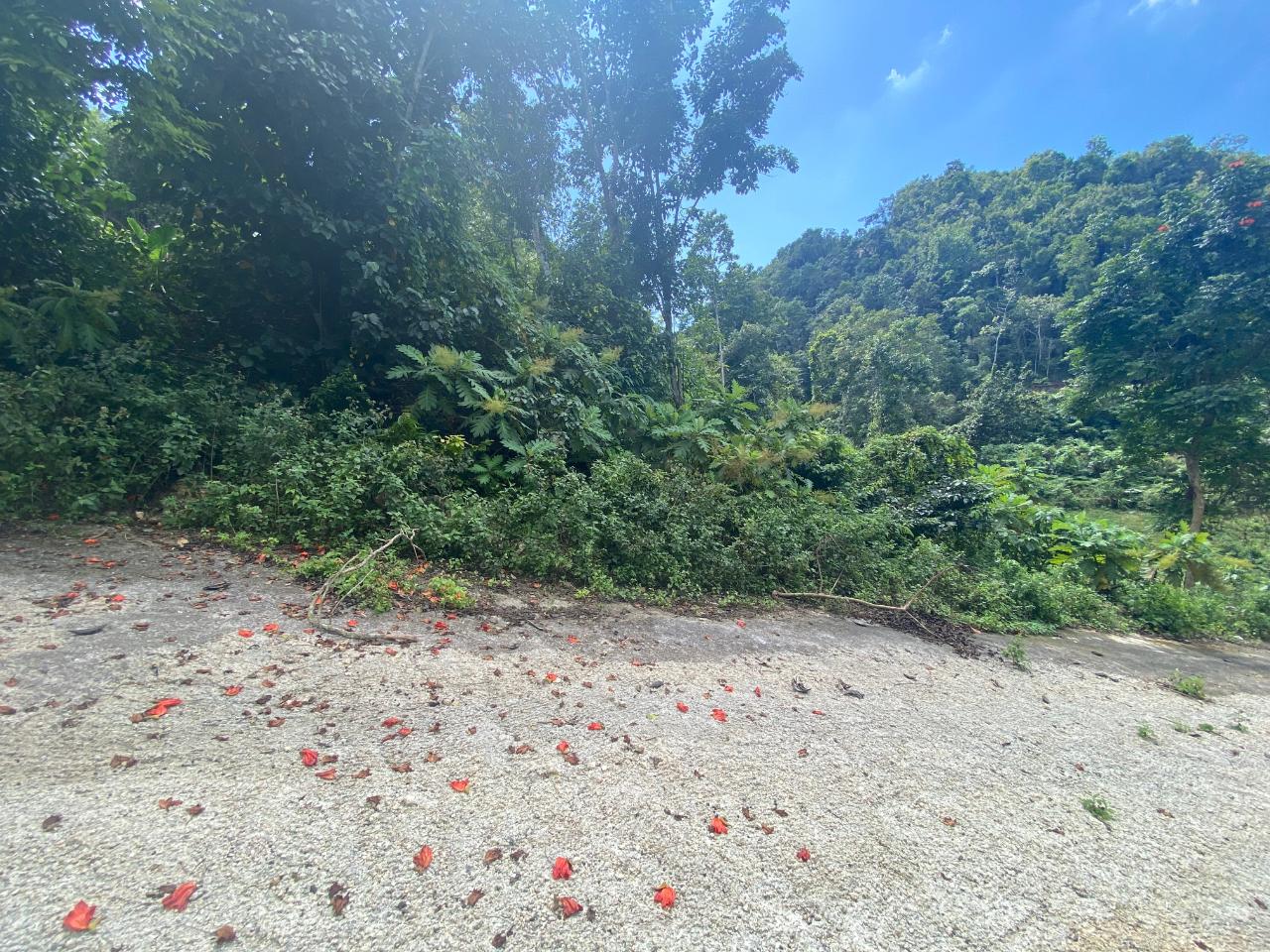 Fourth image of Lot 7 Part of Water House Wedge in RED HILLS SQUARE, St. Andrew, Jamaica - property is For Sale