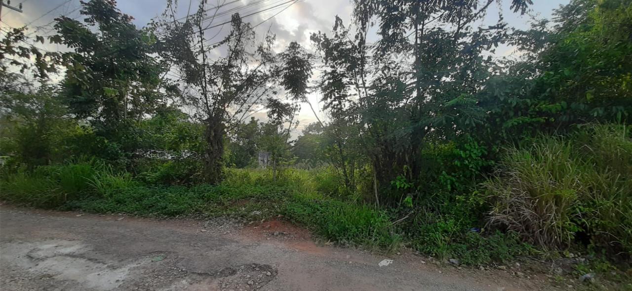 Second image of 0- Huntley in Browns Town, St. Ann, Jamaica - property is For Sale