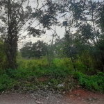 First image of 0- Huntley in Browns Town, St. Ann, Jamaica - property is For Sale
