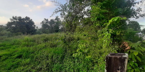 Third image of 0- Huntley in Browns Town, St. Ann, Jamaica - property is For Sale