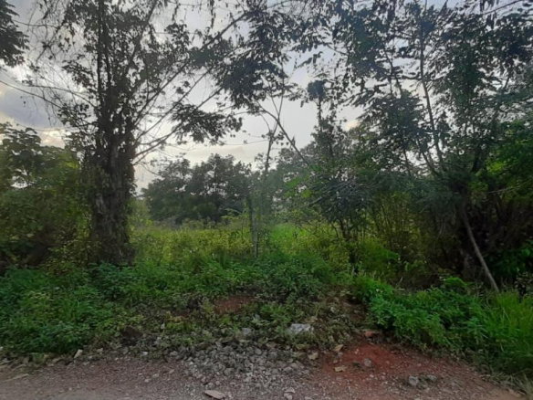 First image of 0- Huntley in Browns Town, St. Ann, Jamaica - property is For Sale