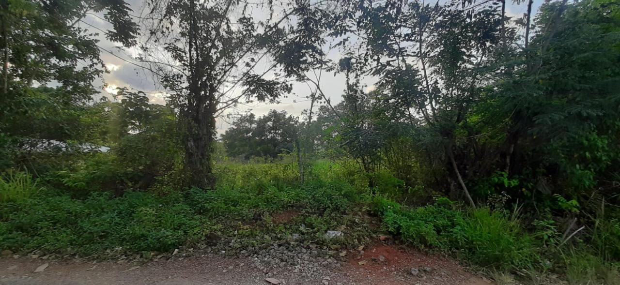 First image of 0- Huntley in Browns Town, St. Ann, Jamaica - property is For Sale