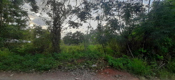 First image of 0- Huntley in Browns Town, St. Ann, Jamaica - property is For Sale
