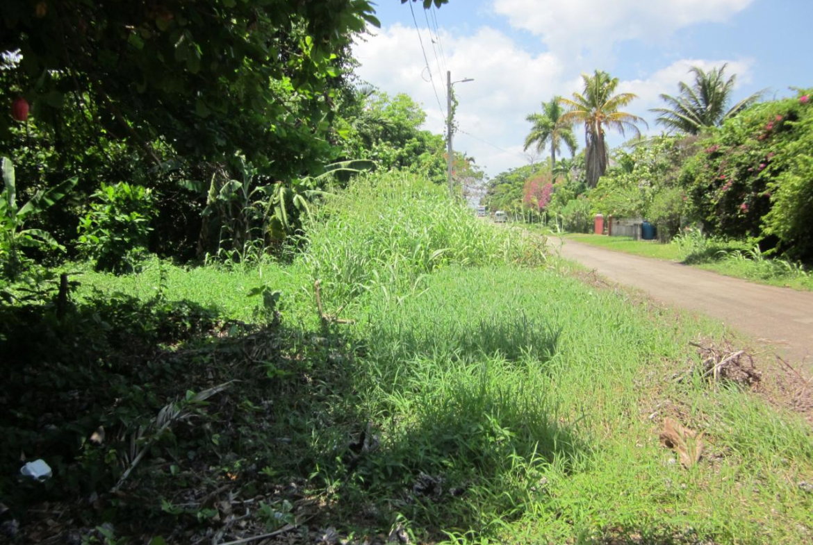 Eleventh image of Lot 9 Llandovery, St. Ann in Discovery Bay, St. Ann, Jamaica - property is For Sale