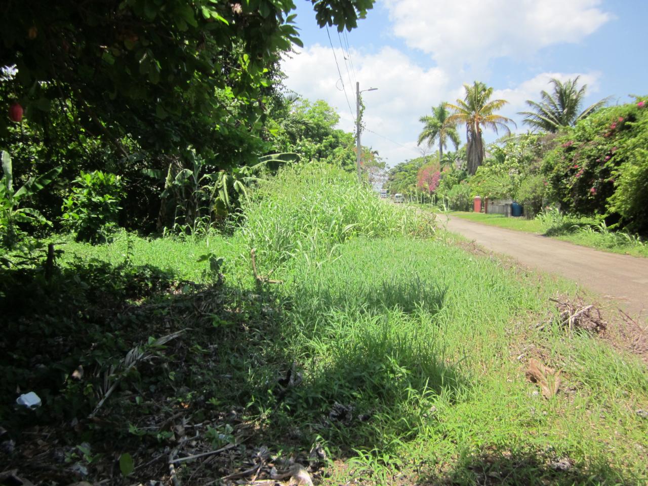Eleventh image of Lot 9 Llandovery, St. Ann in Discovery Bay, St. Ann, Jamaica - property is For Sale