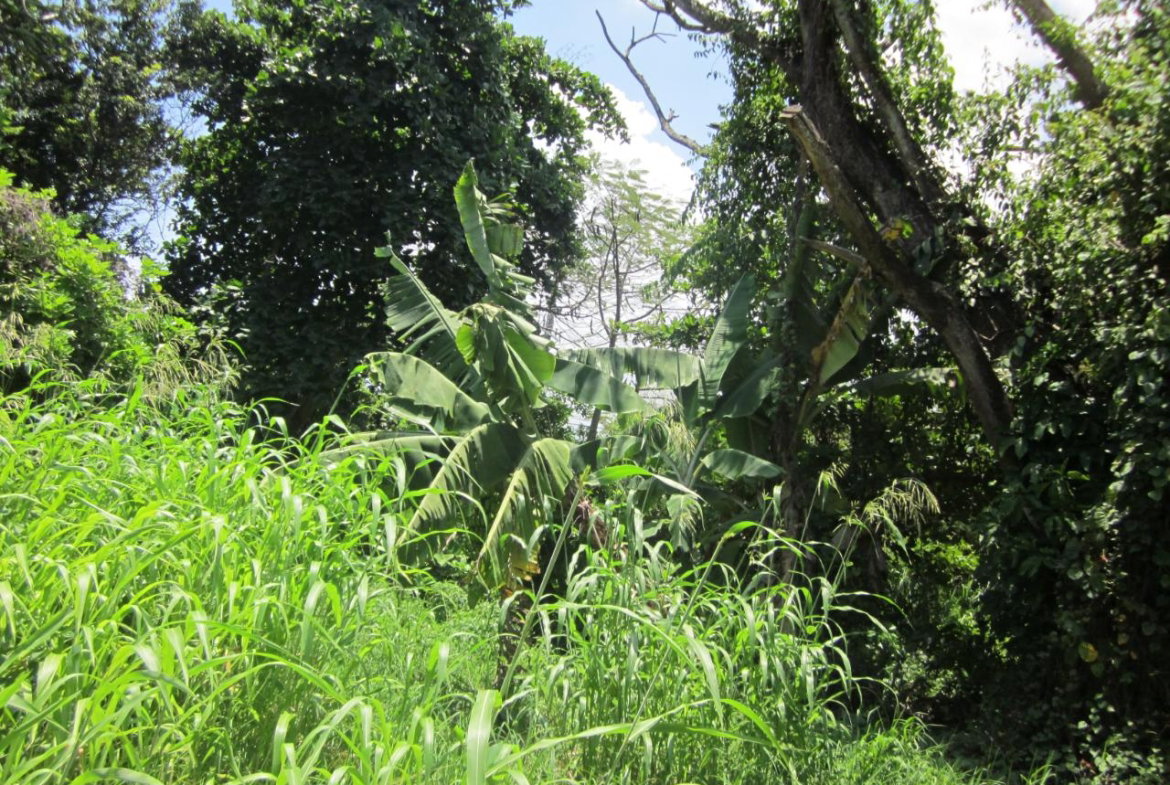 Twelfth image of Lot 9 Llandovery, St. Ann in Discovery Bay, St. Ann, Jamaica - property is For Sale