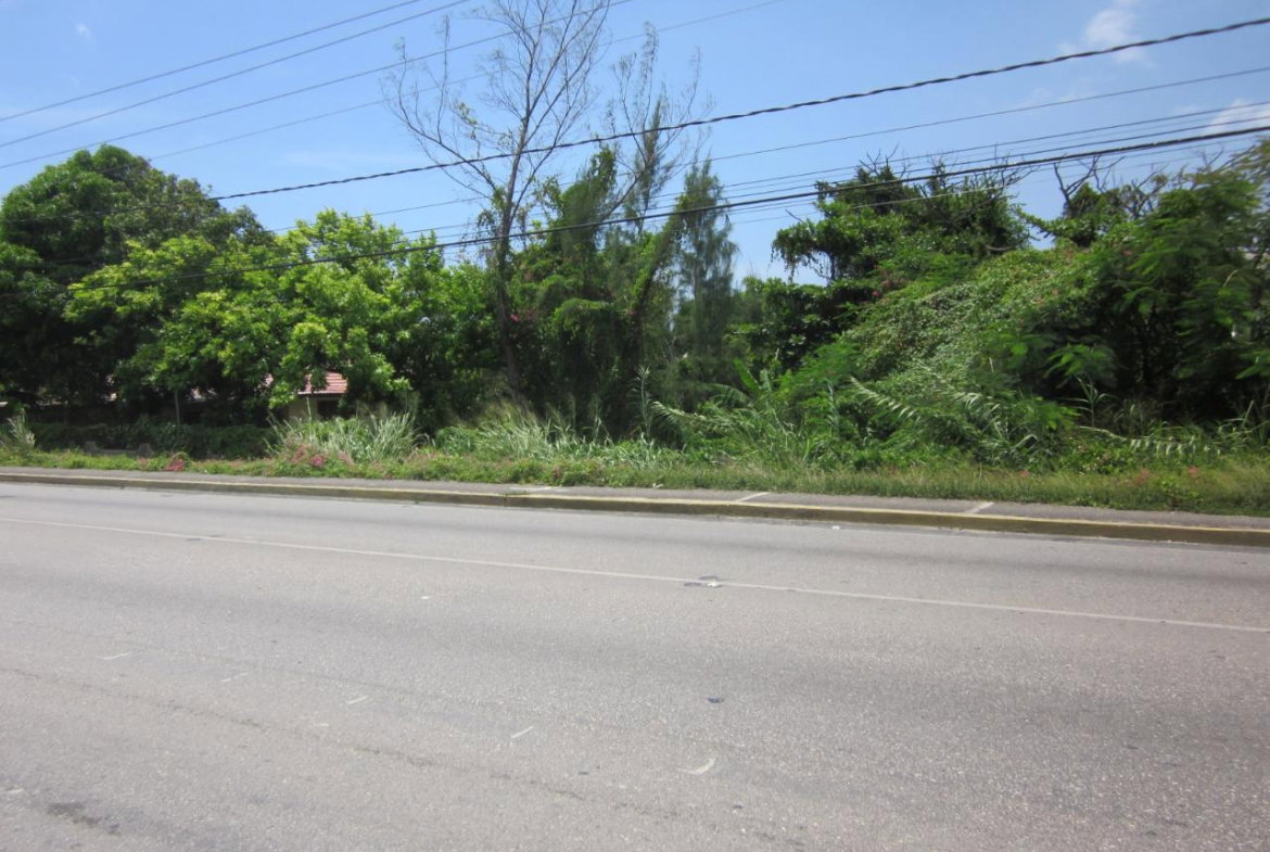 Fifteenth image of Lot 9 Llandovery, St. Ann in Discovery Bay, St. Ann, Jamaica - property is For Sale