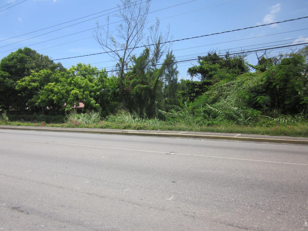 Fifteenth image of Lot 9 Llandovery, St. Ann in Discovery Bay, St. Ann, Jamaica - property is For Sale