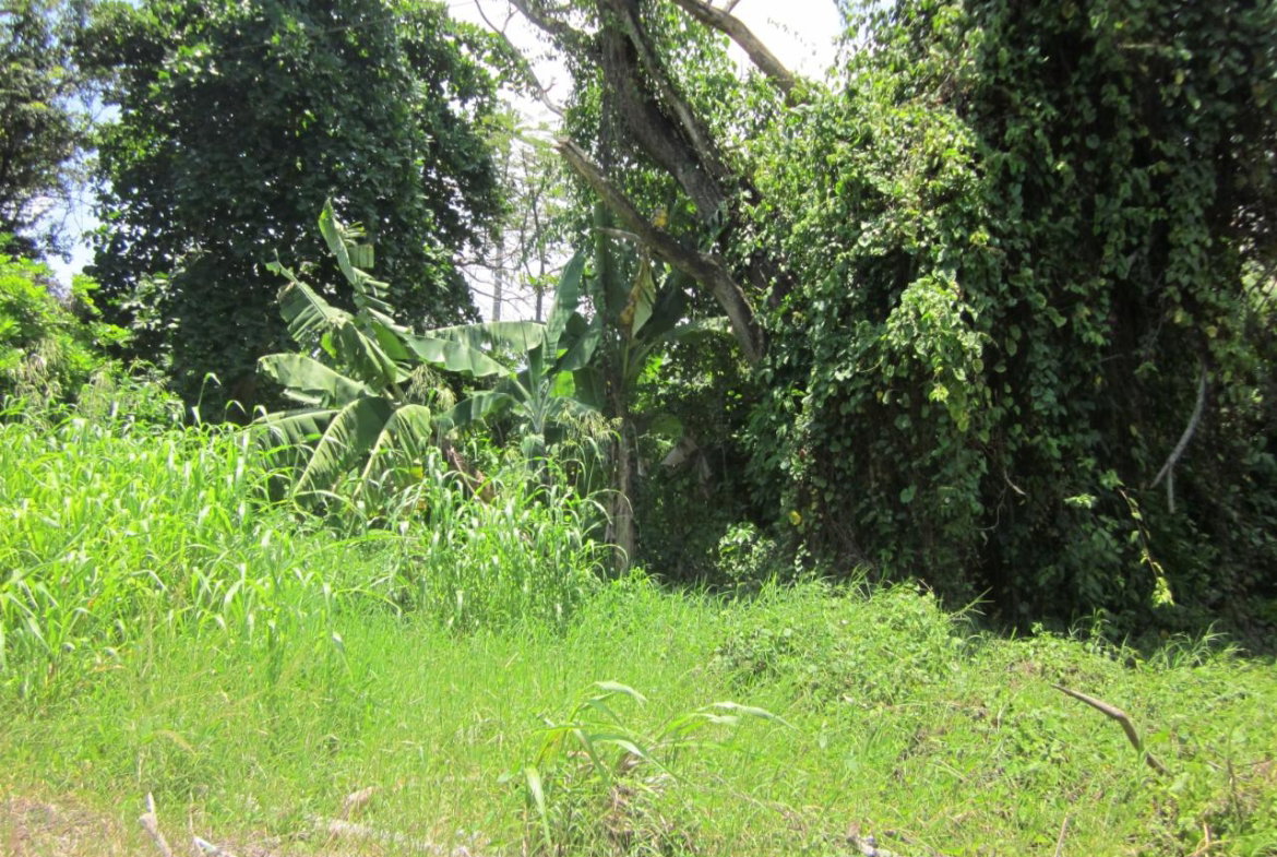 Sixteenth image of Lot 9 Llandovery, St. Ann in Discovery Bay, St. Ann, Jamaica - property is For Sale