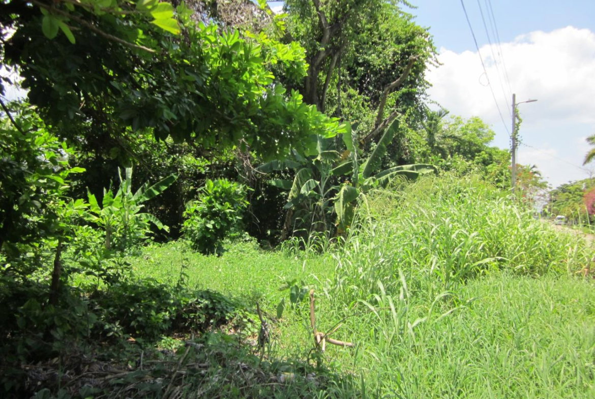 Seventeenth image of Lot 9 Llandovery, St. Ann in Discovery Bay, St. Ann, Jamaica - property is For Sale