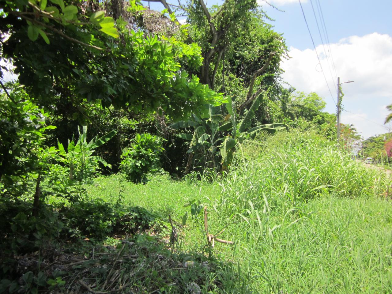 Seventeenth image of Lot 9 Llandovery, St. Ann in Discovery Bay, St. Ann, Jamaica - property is For Sale