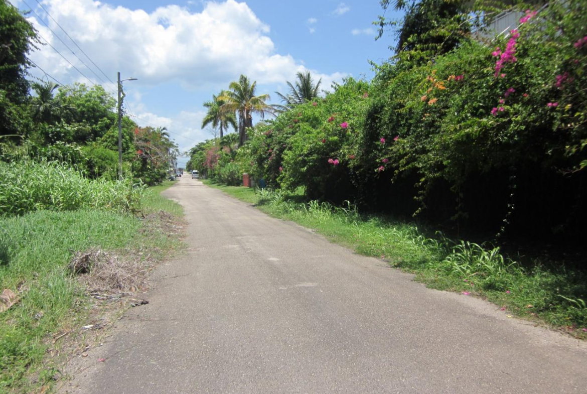Eighteenth image of Lot 9 Llandovery, St. Ann in Discovery Bay, St. Ann, Jamaica - property is For Sale