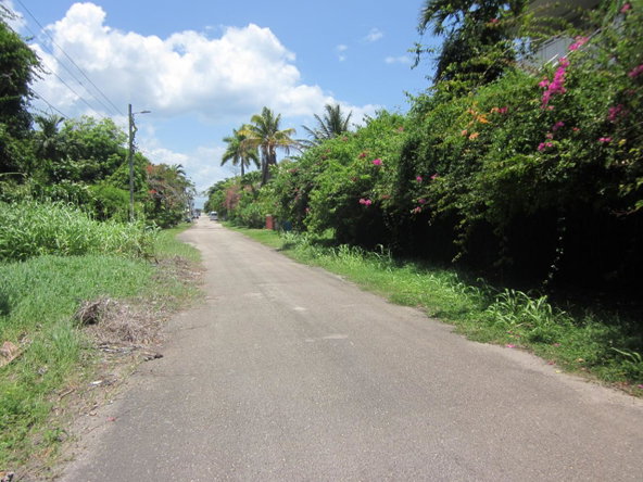 Eighteenth image of Lot 9 Llandovery, St. Ann in Discovery Bay, St. Ann, Jamaica - property is For Sale