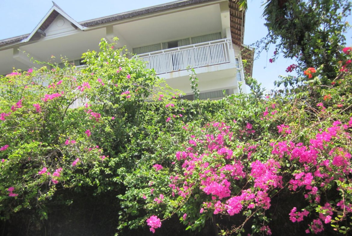 Nineteenth image of Lot 9 Llandovery, St. Ann in Discovery Bay, St. Ann, Jamaica - property is For Sale