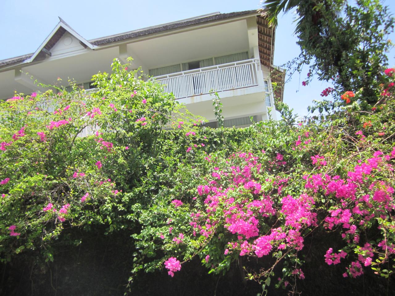 Nineteenth image of Lot 9 Llandovery, St. Ann in Discovery Bay, St. Ann, Jamaica - property is For Sale