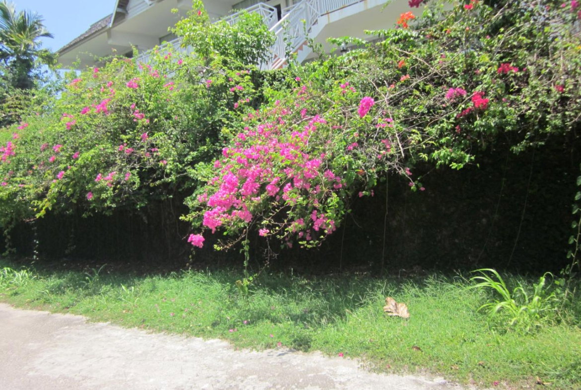 Twenty-Second image of Lot 9 Llandovery, St. Ann in Discovery Bay, St. Ann, Jamaica - property is For Sale