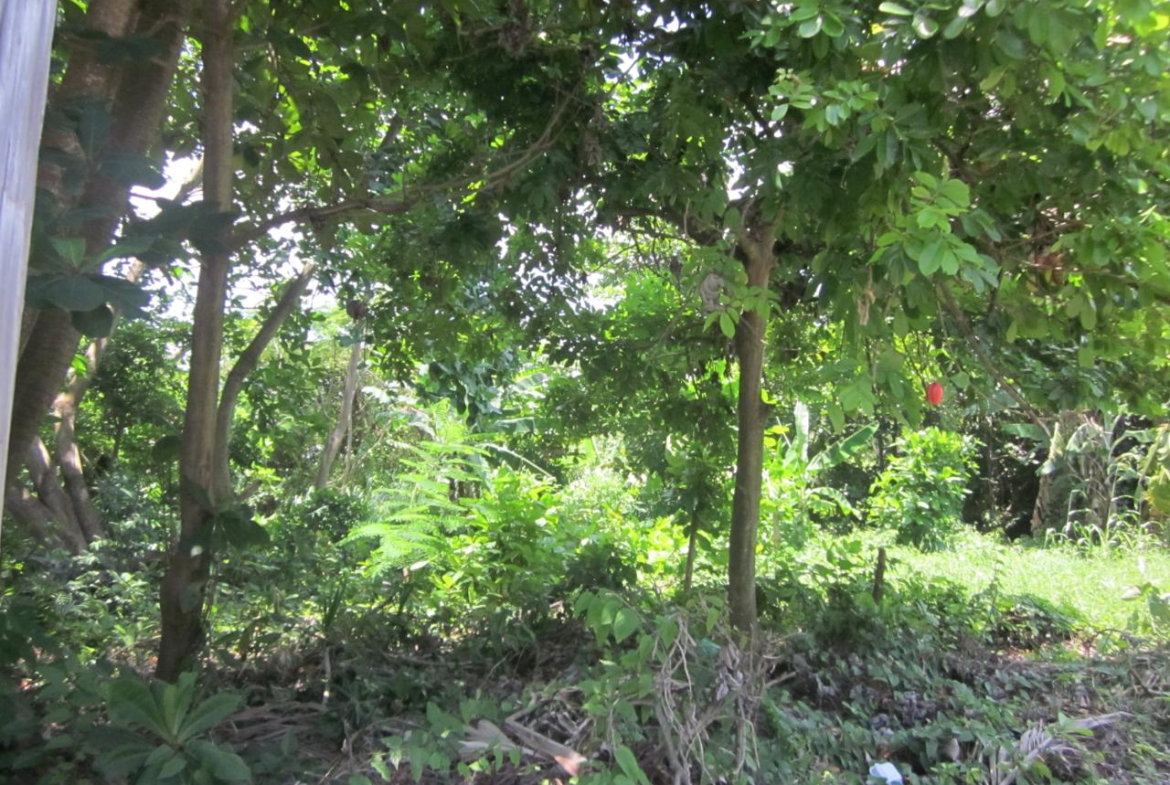 Twenty-Third image of Lot 9 Llandovery, St. Ann in Discovery Bay, St. Ann, Jamaica - property is For Sale