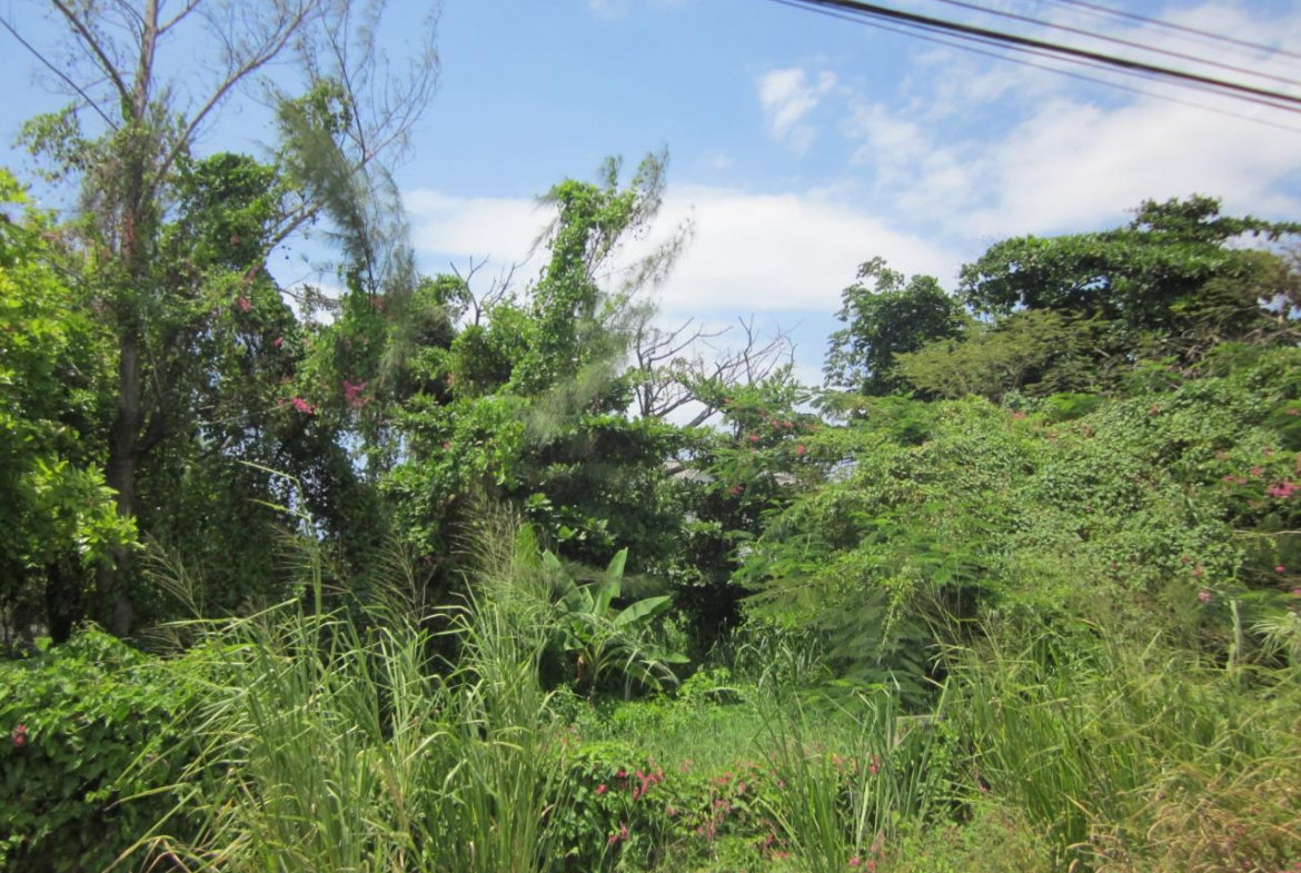 Twenty-Sixth image of Lot 9 Llandovery, St. Ann in Discovery Bay, St. Ann, Jamaica - property is For Sale
